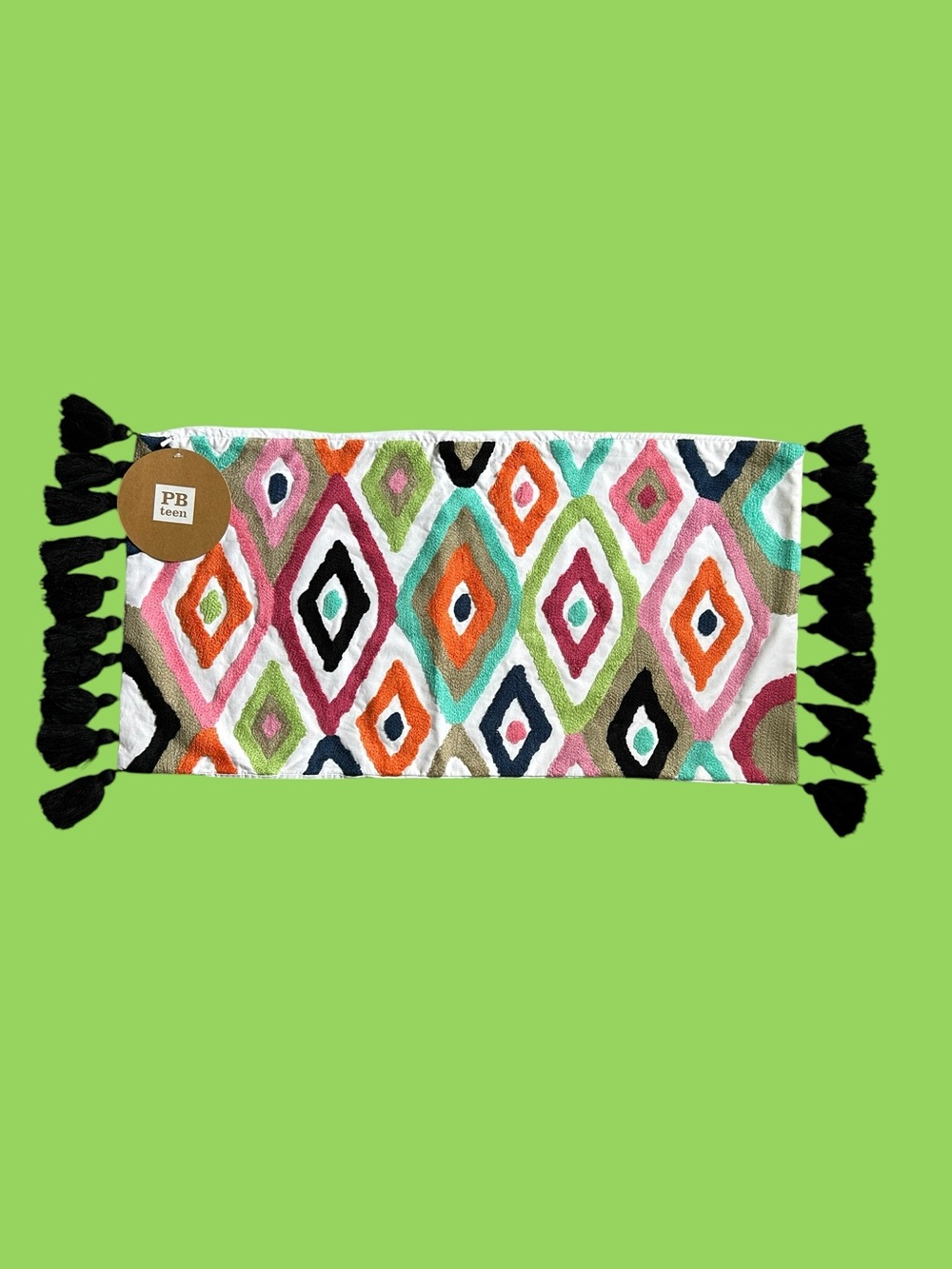 Pottery Barn Teen Ikat Diamond Embroidered 12 x 24 Pillow Cover Sham Tassels NWT